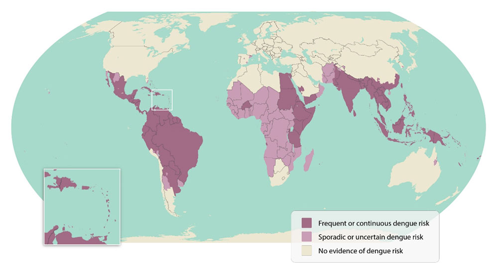 Dengue world map