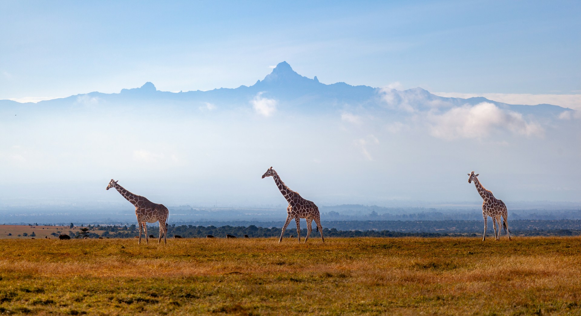 Mount Kenya Landscape