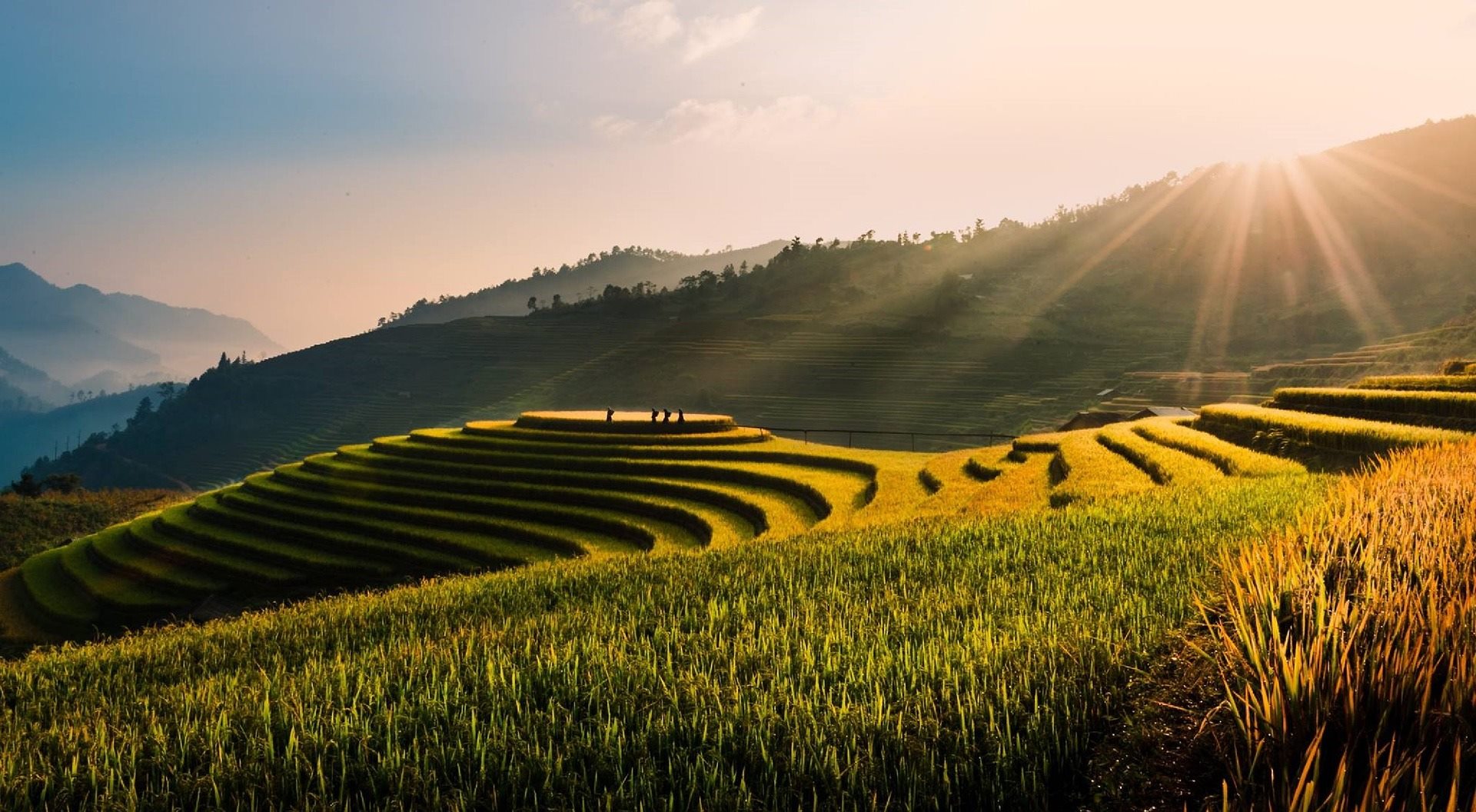 Vietnam Tu Le terraces field