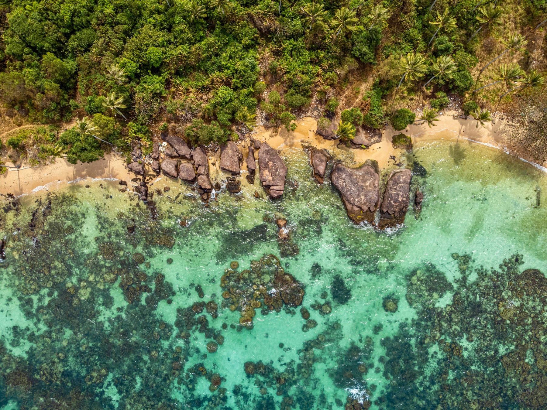 Aerial view of a beach with rocks and trees